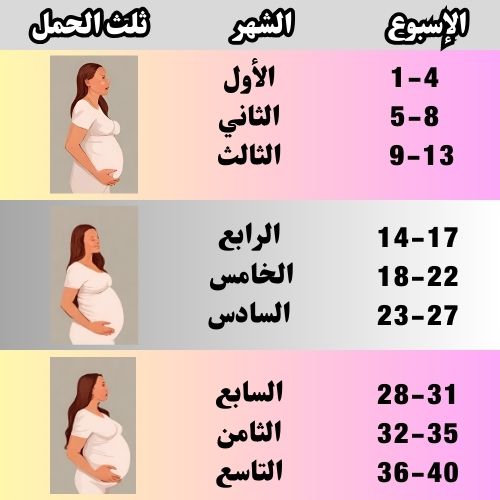 جدول الحمل