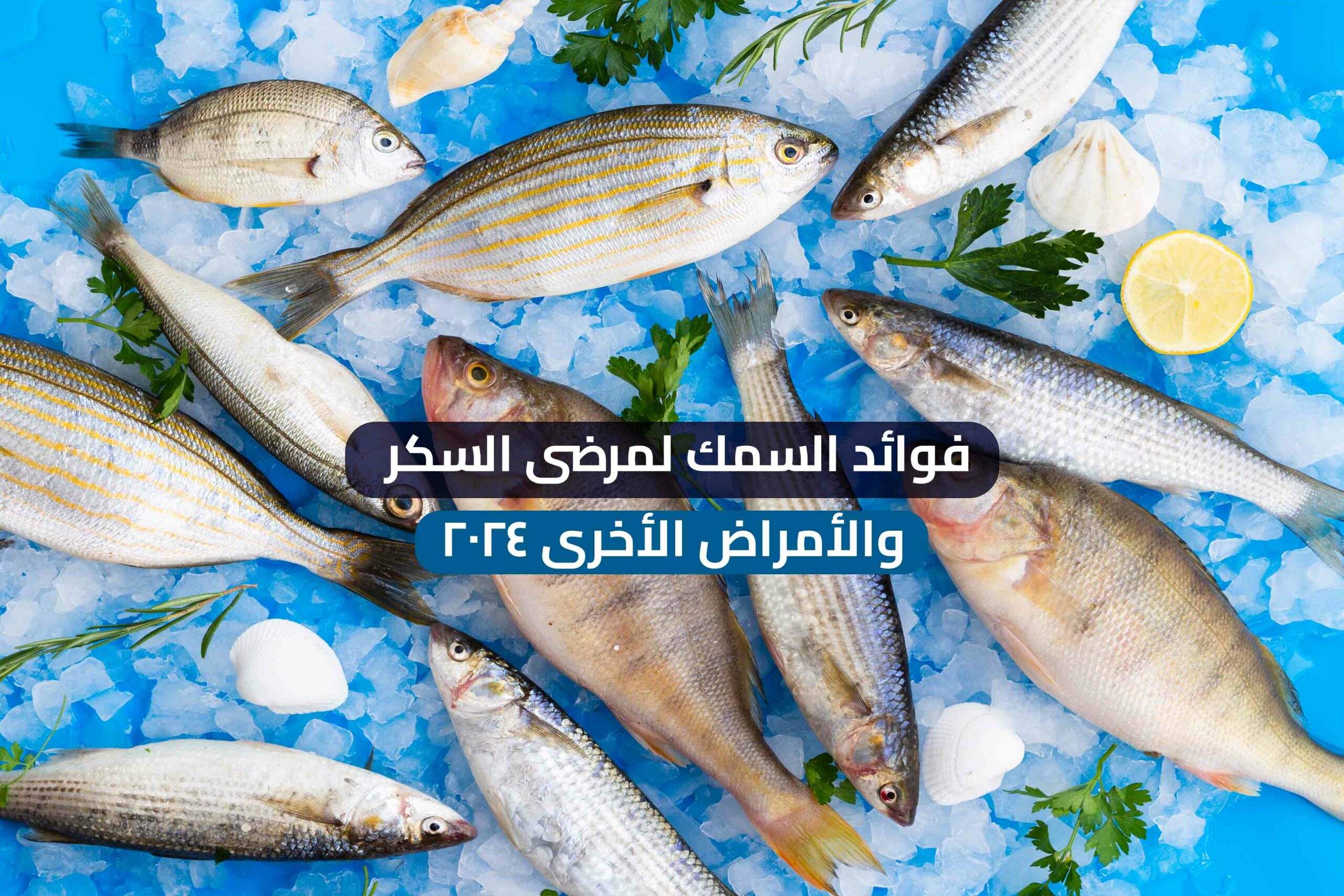 فوائد السمك لمرضى السكر والأمراض الأخرى 2024